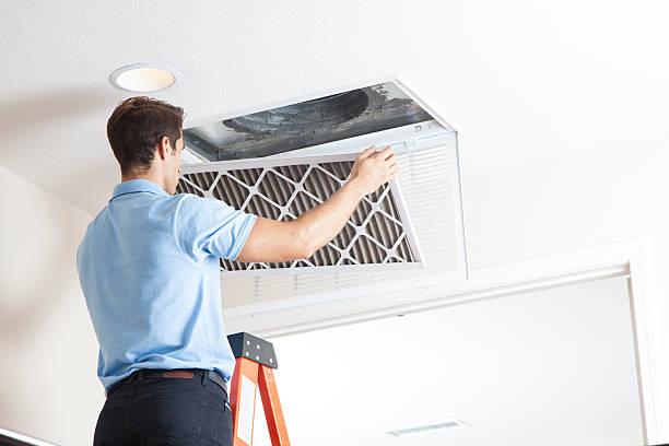 Best Air Filters and Purifiers in Ellenton, FL